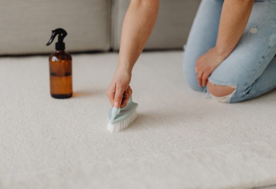 person cleaning the carpet